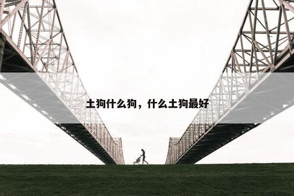 土狗什么狗，什么土狗最好
