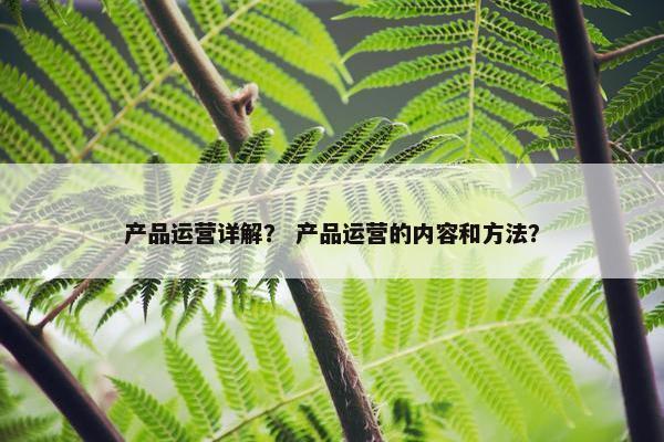 产品运营详解？ 产品运营的内容和方法？