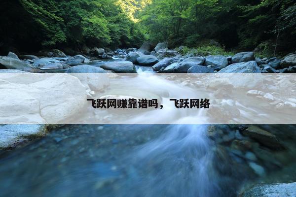 飞跃网赚靠谱吗，飞跃网络