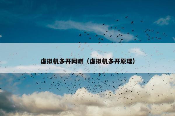 虚拟机多开网赚（虚拟机多开原理）