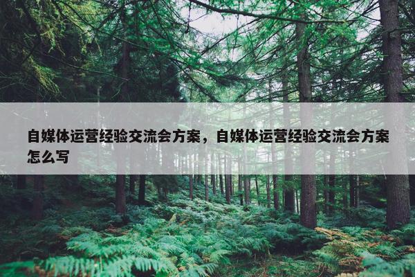 自媒体运营经验交流会方案，自媒体运营经验交流会方案怎么写