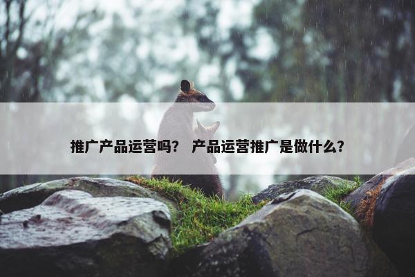 推广产品运营吗？ 产品运营推广是做什么？