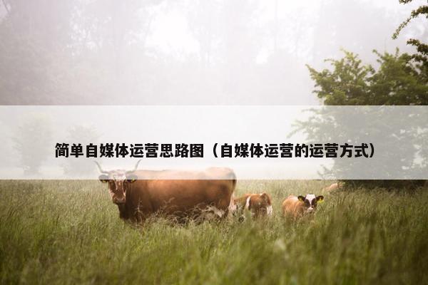 简单自媒体运营思路图（自媒体运营的运营方式）