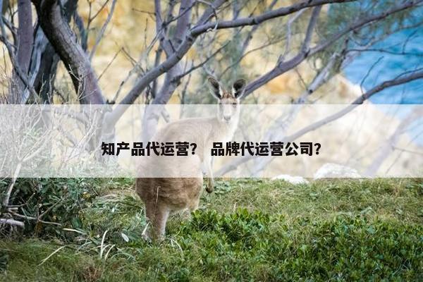 知产品代运营？ 品牌代运营公司？