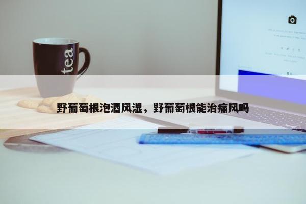 野葡萄根泡酒风湿，野葡萄根能治痛风吗