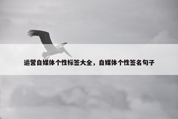 运营自媒体个性标签大全，自媒体个性签名句子