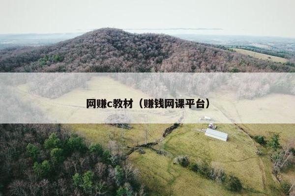 网赚c教材（赚钱网课平台）