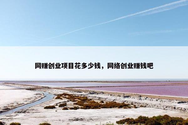 网赚创业项目花多少钱，网络创业赚钱吧