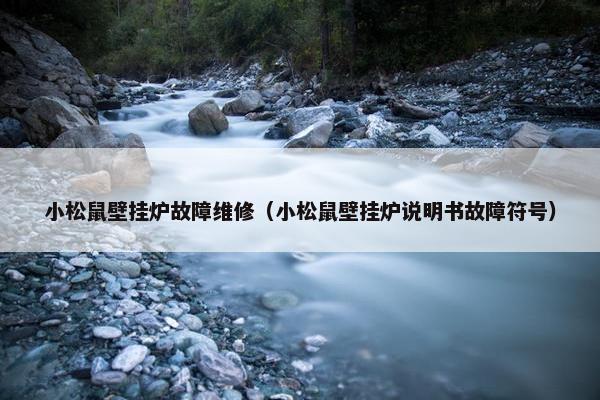 小松鼠壁挂炉故障维修（小松鼠壁挂炉说明书故障符号）