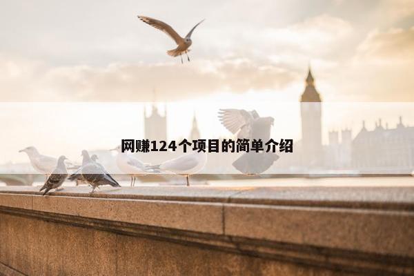 网赚124个项目的简单介绍