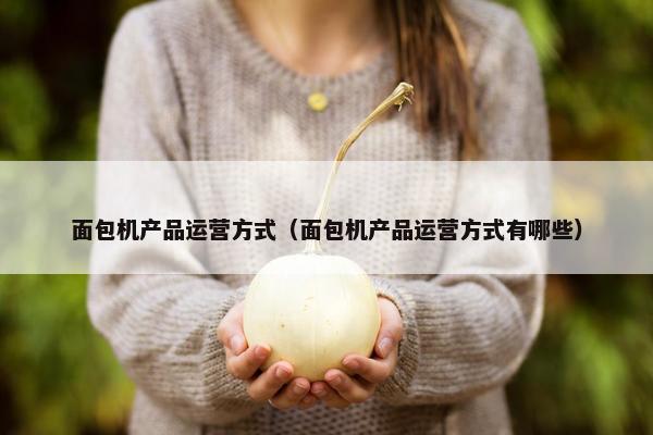面包机产品运营方式（面包机产品运营方式有哪些）