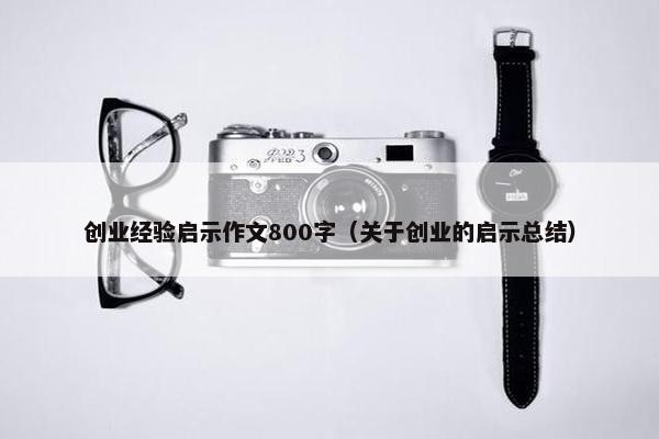 创业经验启示作文800字（关于创业的启示总结）