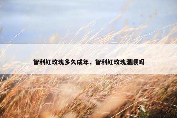 智利红玫瑰多久成年，智利红玫瑰温顺吗