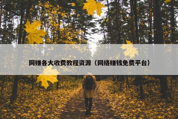 网赚各大收费教程资源（网络赚钱免费平台）