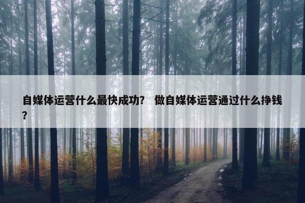 自媒体运营什么最快成功？ 做自媒体运营通过什么挣钱？