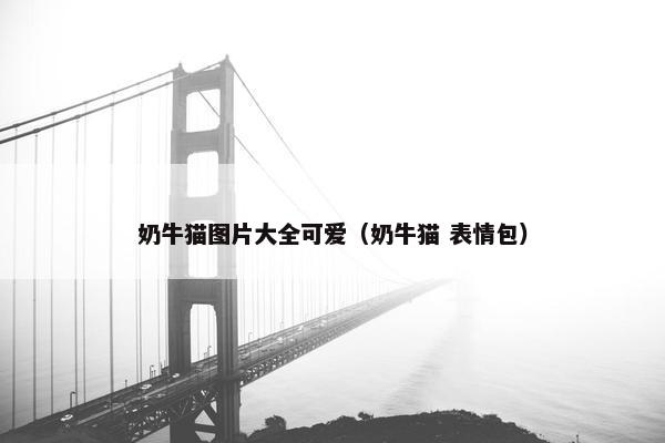 奶牛猫图片大全可爱（奶牛猫 表情包）