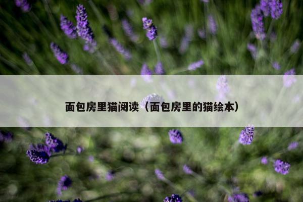 面包房里猫阅读（面包房里的猫绘本）