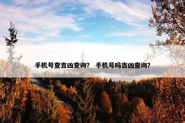 手机号查吉凶查询？ 手机号吗吉凶查询？
