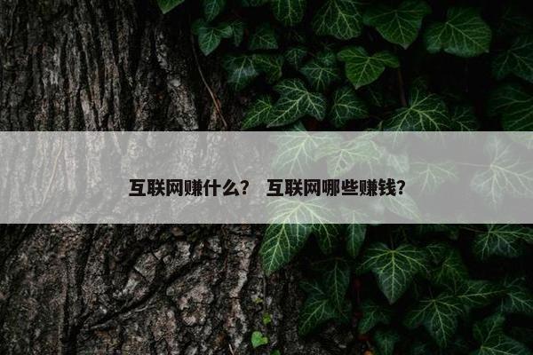 互联网赚什么？ 互联网哪些赚钱？