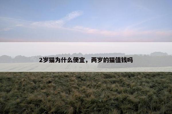 2岁猫为什么便宜，两岁的猫值钱吗