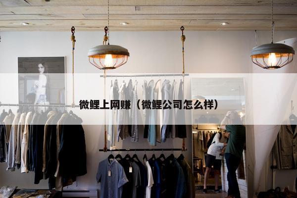 微鲤上网赚（微鲤公司怎么样）