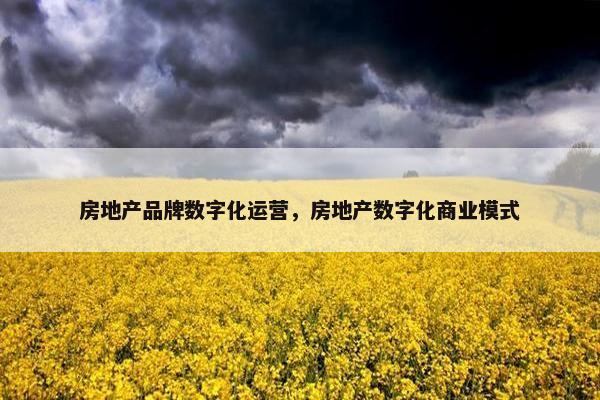 房地产品牌数字化运营，房地产数字化商业模式