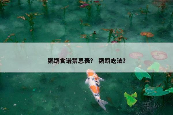 鹦鹉食谱禁忌表？ 鹦鹉吃法？