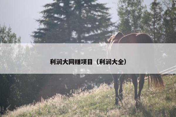 利润大网赚项目（利润大全）