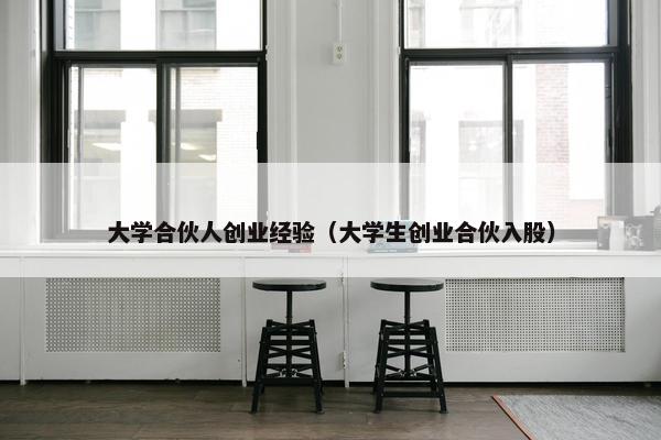 大学合伙人创业经验（大学生创业合伙入股）