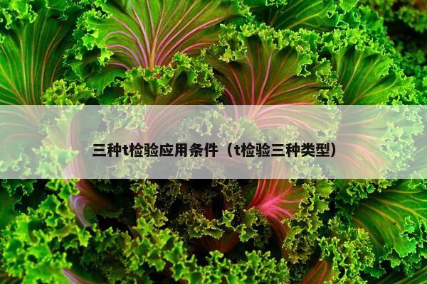 三种t检验应用条件（t检验三种类型）