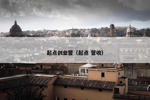 起点创业营（起点 营收）