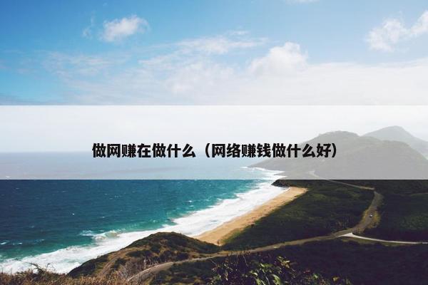 做网赚在做什么（网络赚钱做什么好）