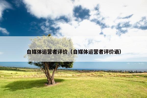 自媒体运营者评价（自媒体运营者评价语）