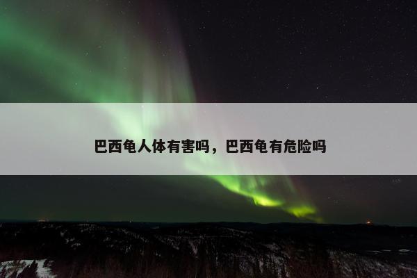 巴西龟人体有害吗，巴西龟有危险吗