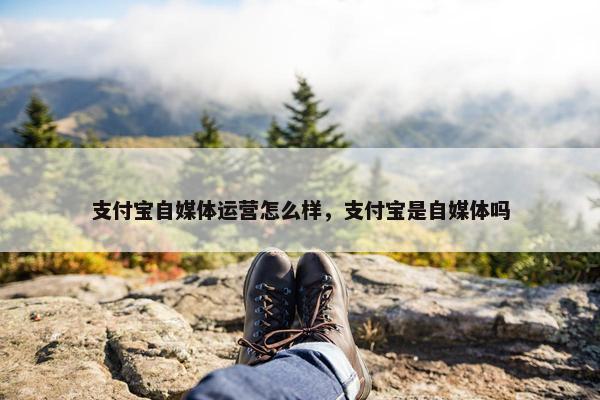 支付宝自媒体运营怎么样，支付宝是自媒体吗