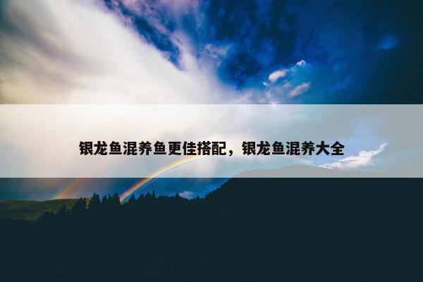 银龙鱼混养鱼更佳搭配，银龙鱼混养大全