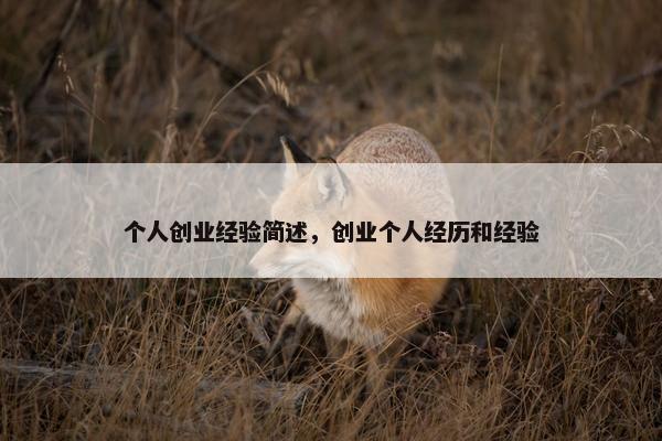 个人创业经验简述，创业个人经历和经验