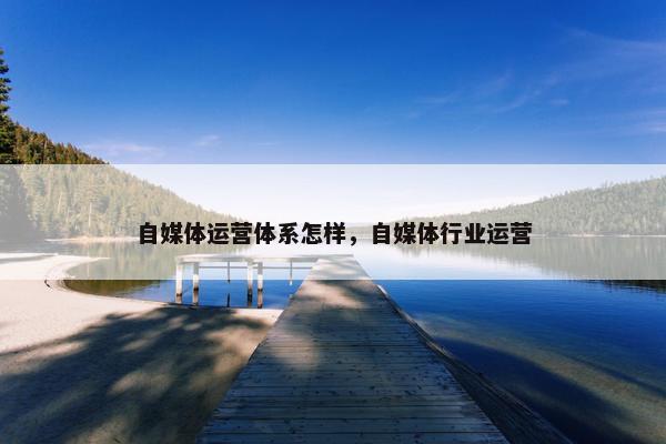 自媒体运营体系怎样，自媒体行业运营