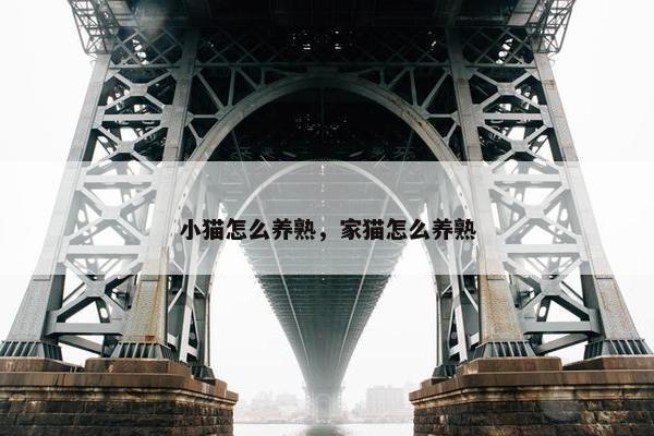 小猫怎么养熟，家猫怎么养熟
