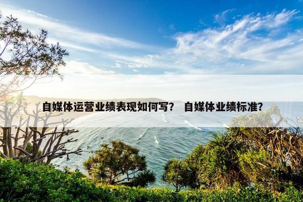 自媒体运营业绩表现如何写？ 自媒体业绩标准？