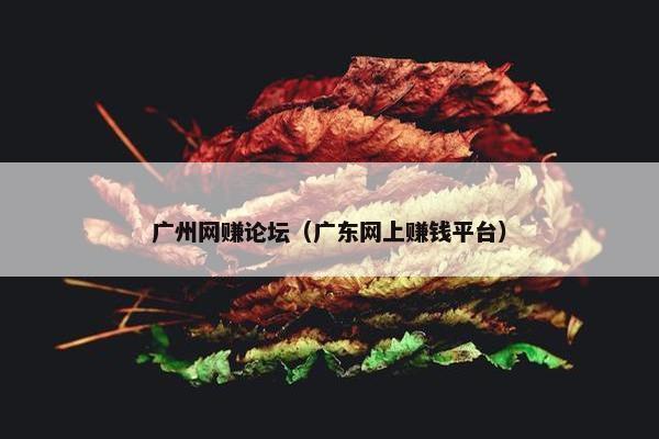广州网赚论坛（广东网上赚钱平台）