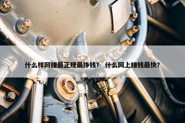 什么样网赚最正规最挣钱？ 什么网上赚钱最快？