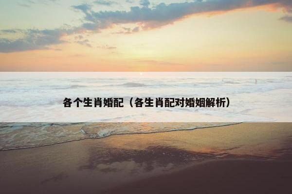 各个生肖婚配（各生肖配对婚姻解析）