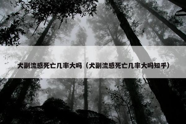 犬副流感死亡几率大吗（犬副流感死亡几率大吗知乎）
