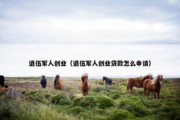 退伍军人创业（退伍军人创业贷款怎么申请）