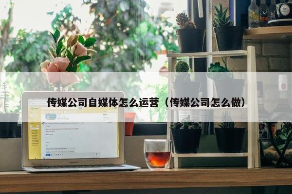 传媒公司自媒体怎么运营（传媒公司怎么做）