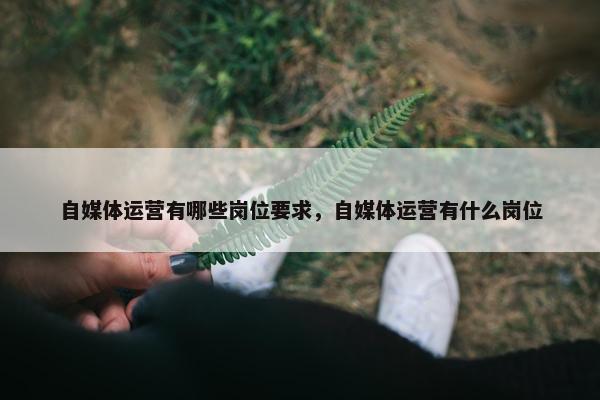 自媒体运营有哪些岗位要求，自媒体运营有什么岗位