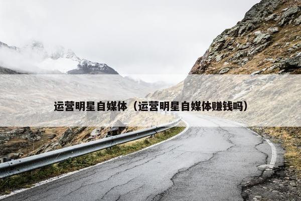 运营明星自媒体（运营明星自媒体赚钱吗）