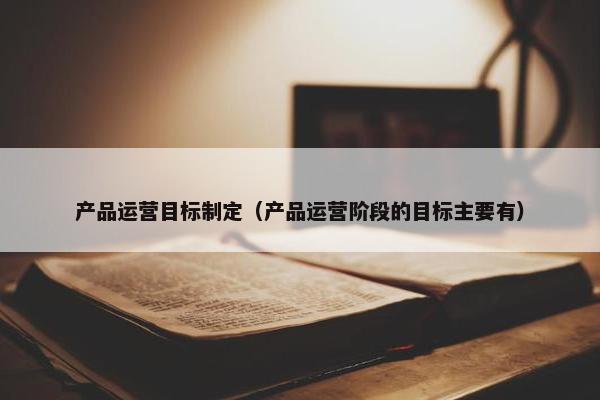 产品运营目标制定（产品运营阶段的目标主要有）