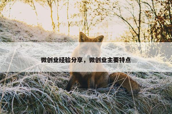 微创业经验分享，微创业主要特点